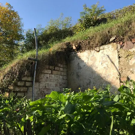 Bellevue Gastgeberei 3*