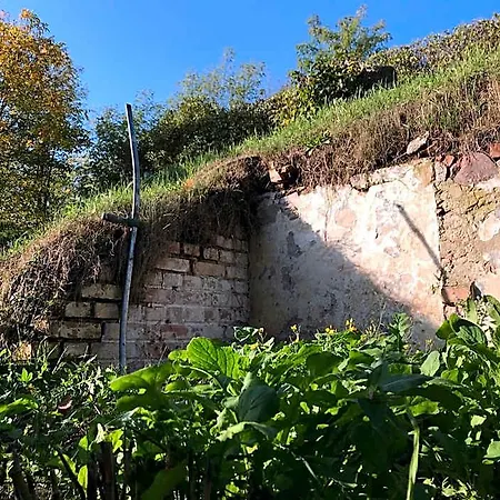 Frühstückspension Bellevue Gastgeberei 4*