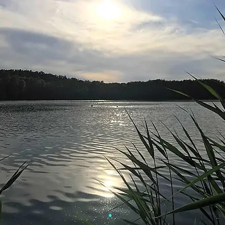 Bellevue Gastgeberei Frühstückspension 4*