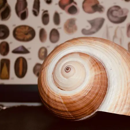 Bellevue Gastgeberei 3*