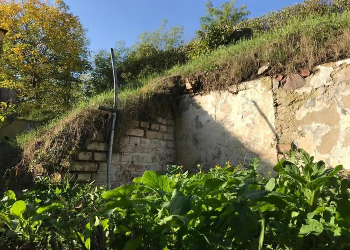 Bellevue Gastgeberei 3*