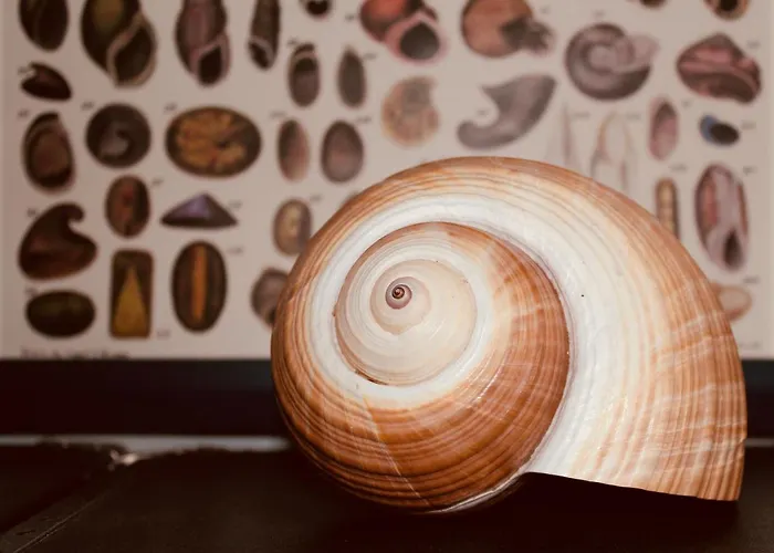 Bellevue Gastgeberei 3*