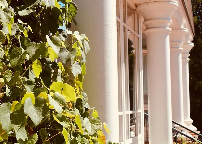 Bellevue Gastgeberei 住宿加早餐酒店 布科